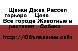 Щенки Джек Рассел терьера  › Цена ­ 15 000 - Все города Животные и растения » Собаки   